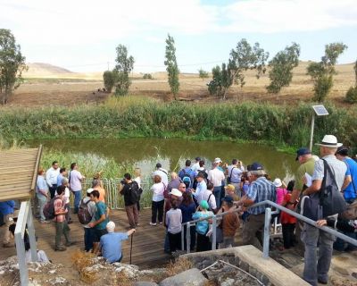 טיול ג’יפים וסיור מודרך לתצפיות טבע ונוף בעמק הירדן